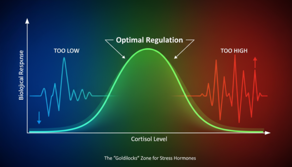 Low-Cortisol Morning
